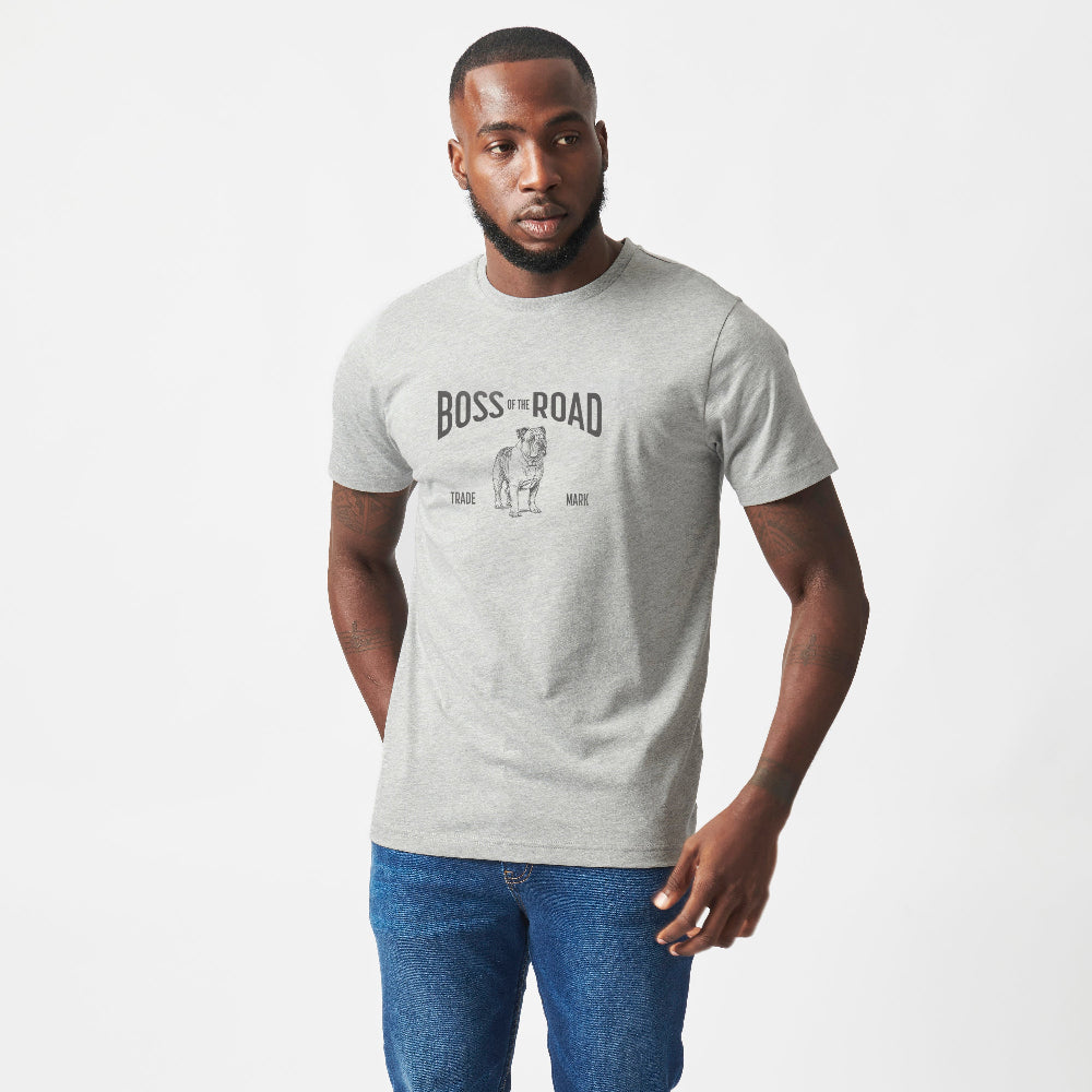 BOTR PATCH T-SHIRT IN GREY MELANGE